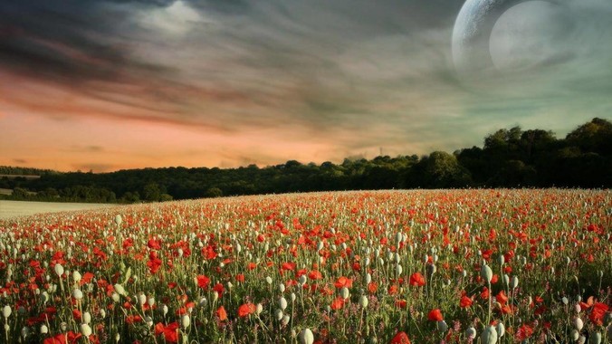 为什么说中国是基建狂魔？